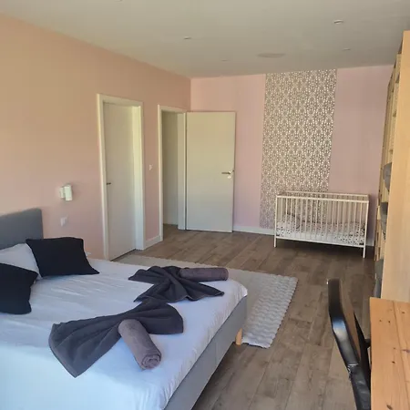 8 Personnes Piscine Villa Widensolen